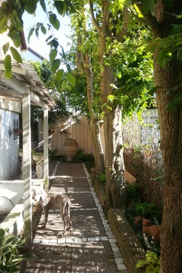 Gilbert Gartengestaltung - Wildromantischer Zaubergarten 