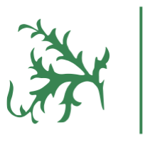 Gilbert Gartengestaltung - Distelsymbol_Grafikelement 